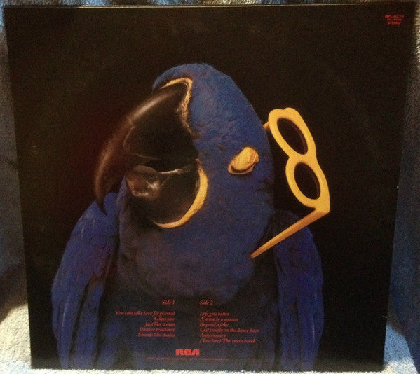 The Real Macaw
