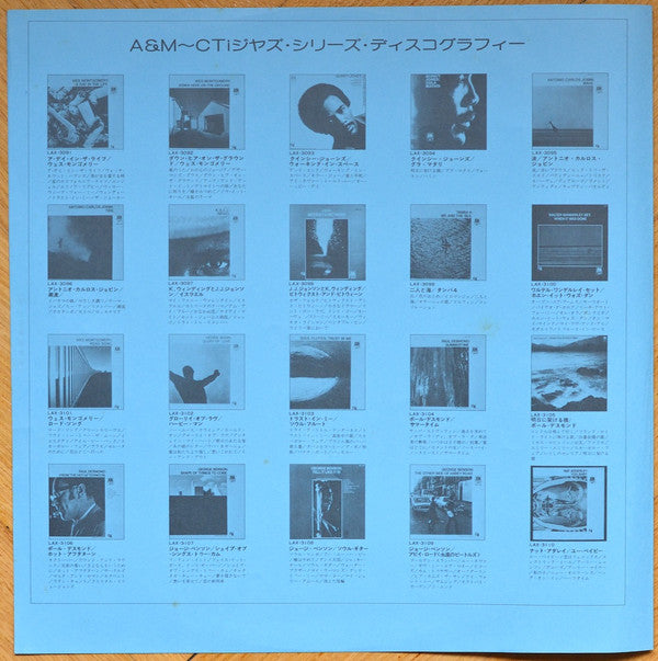 Down Here On The Ground