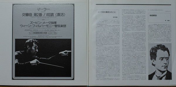 Symphony No. 2 In C Minor "Resurrection"