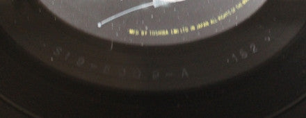 Stranger In A Strange Land