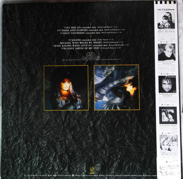 The 12" Album
