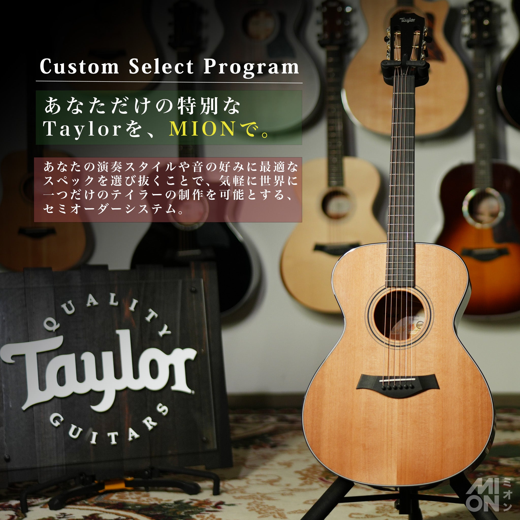 Taylor Custom Select Program - MION 2025 -