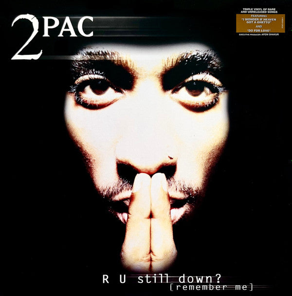 R U Still Down? [Remember Me]