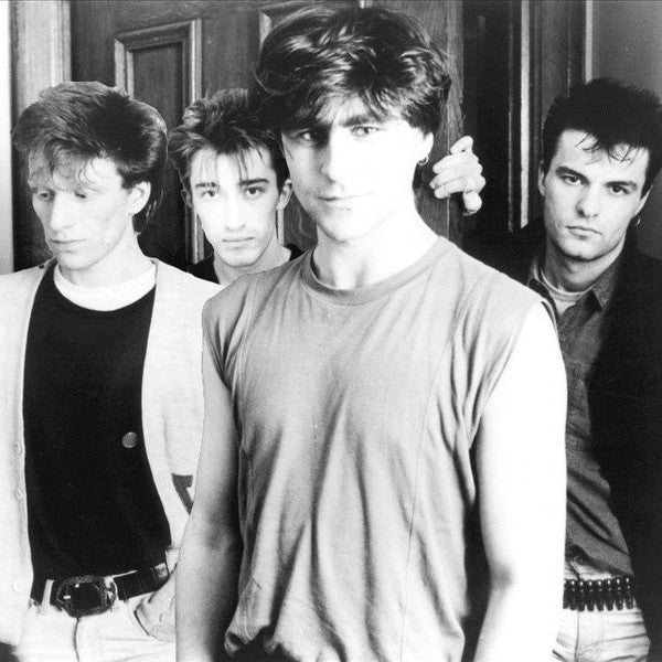 The Chameleons