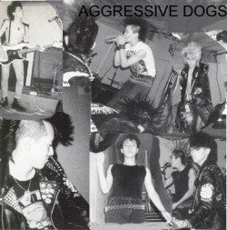 Aggressive Dogs