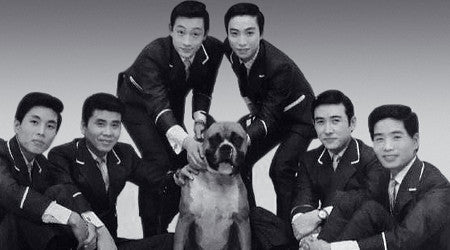The Van-Dogs