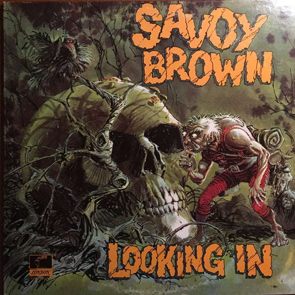 Looking In
