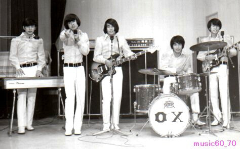 Ox (11)