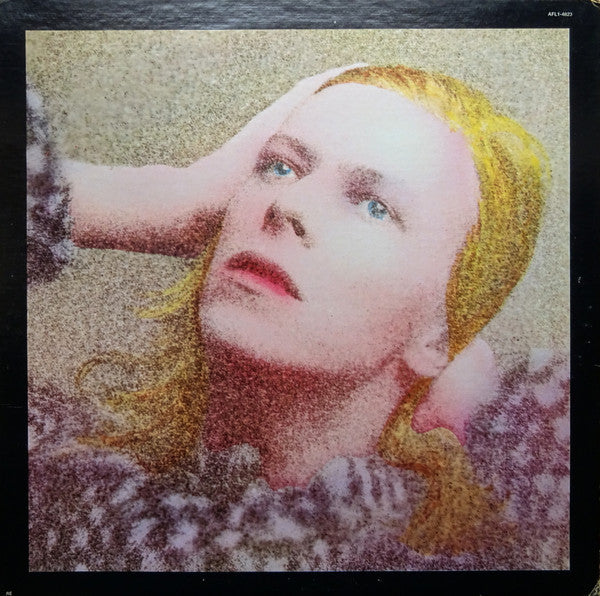 Hunky Dory