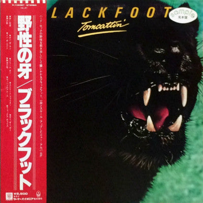 Tomcattin'