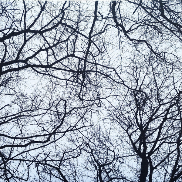 You're An Orchestra In The Cosmos