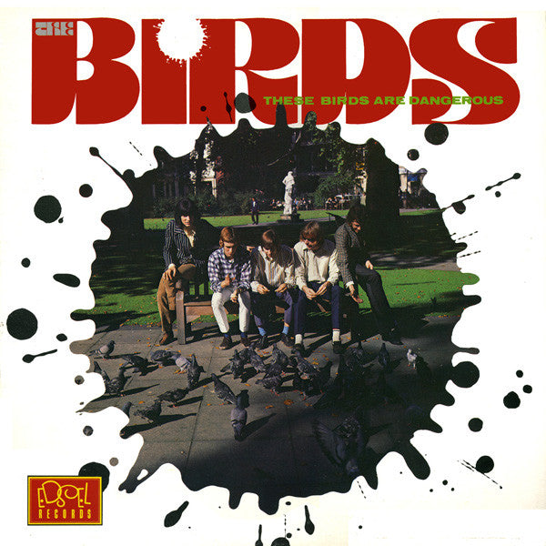 These Birds Are Dangerous