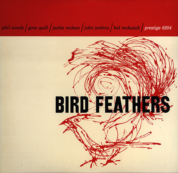 Bird Feathers