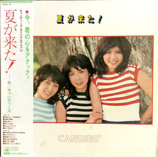 夏が来た!
