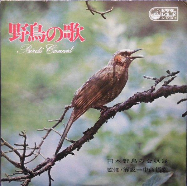 Unknown Release
