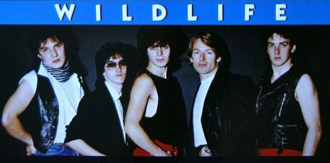 Wildlife (8)
