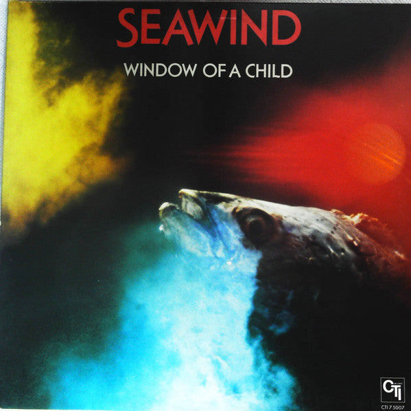 Window Of A Child