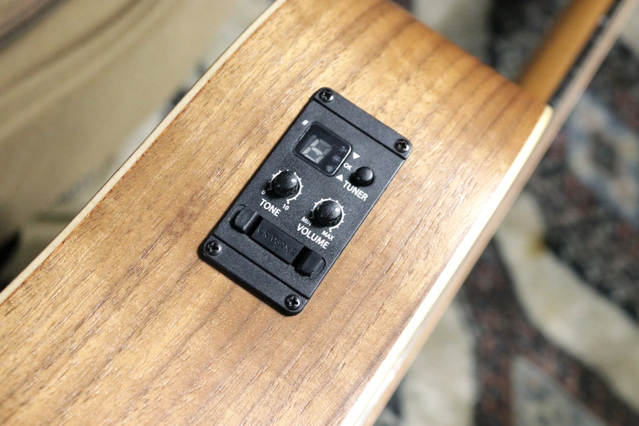 Taylor BBTe (Big Baby Taylor-e) 2021 [Taylor-approved repairman worker]