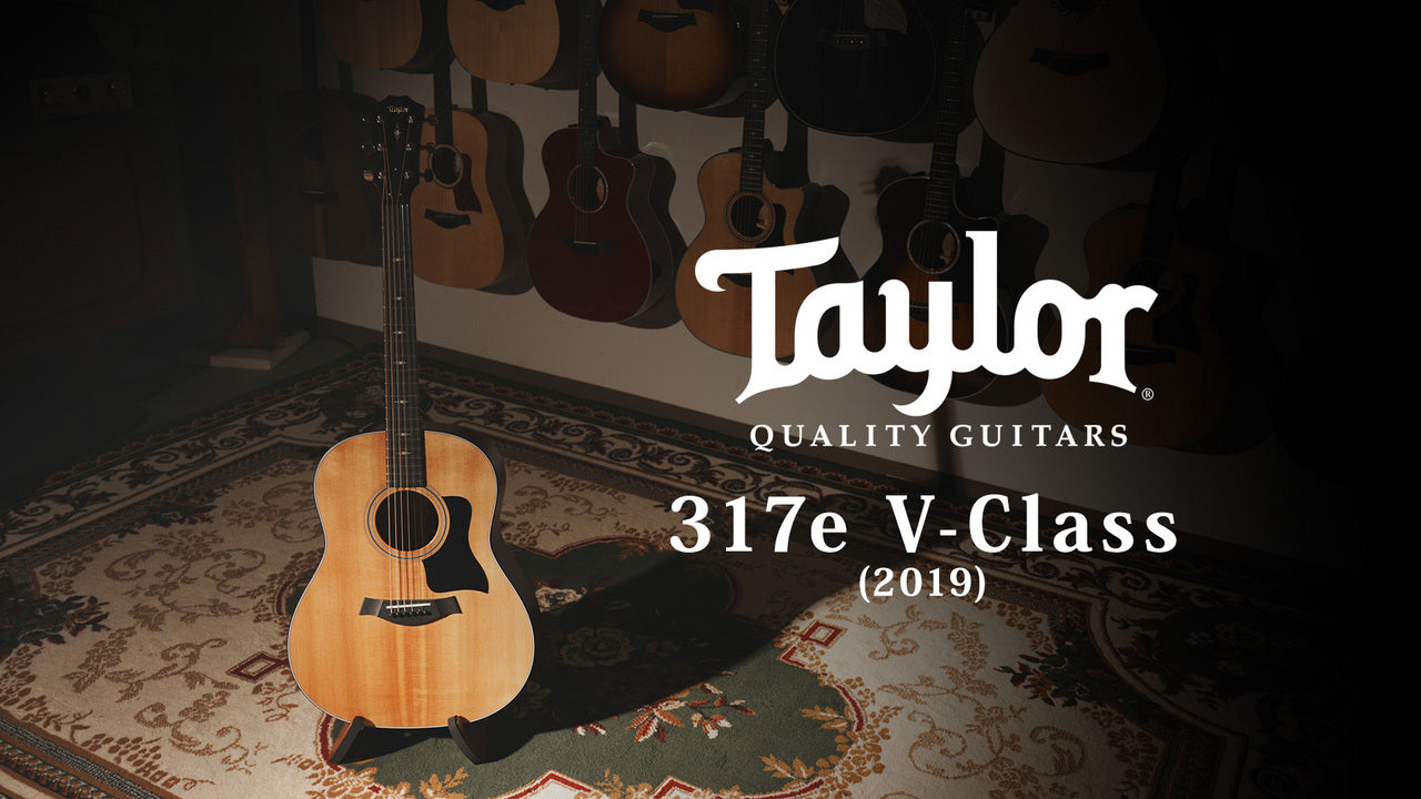 Taylor 317e V-Class 2019 [Taylor certified repairman worker]