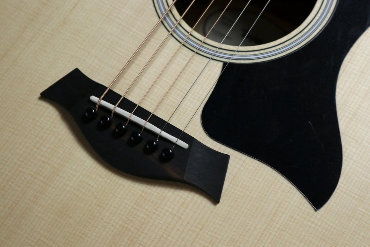 Taylor GS-Mini Sapele [Taylor certified repairman store]