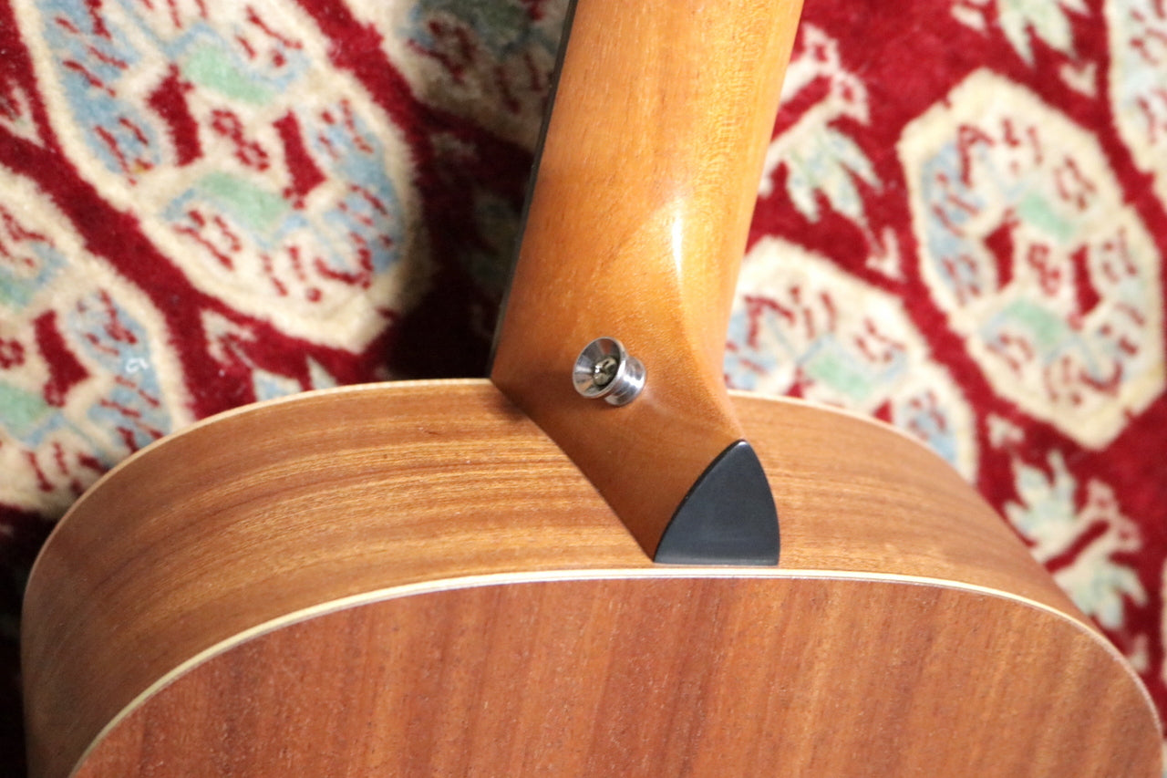 Taylor GS-Mini Sapele [Taylor certified repairman store]