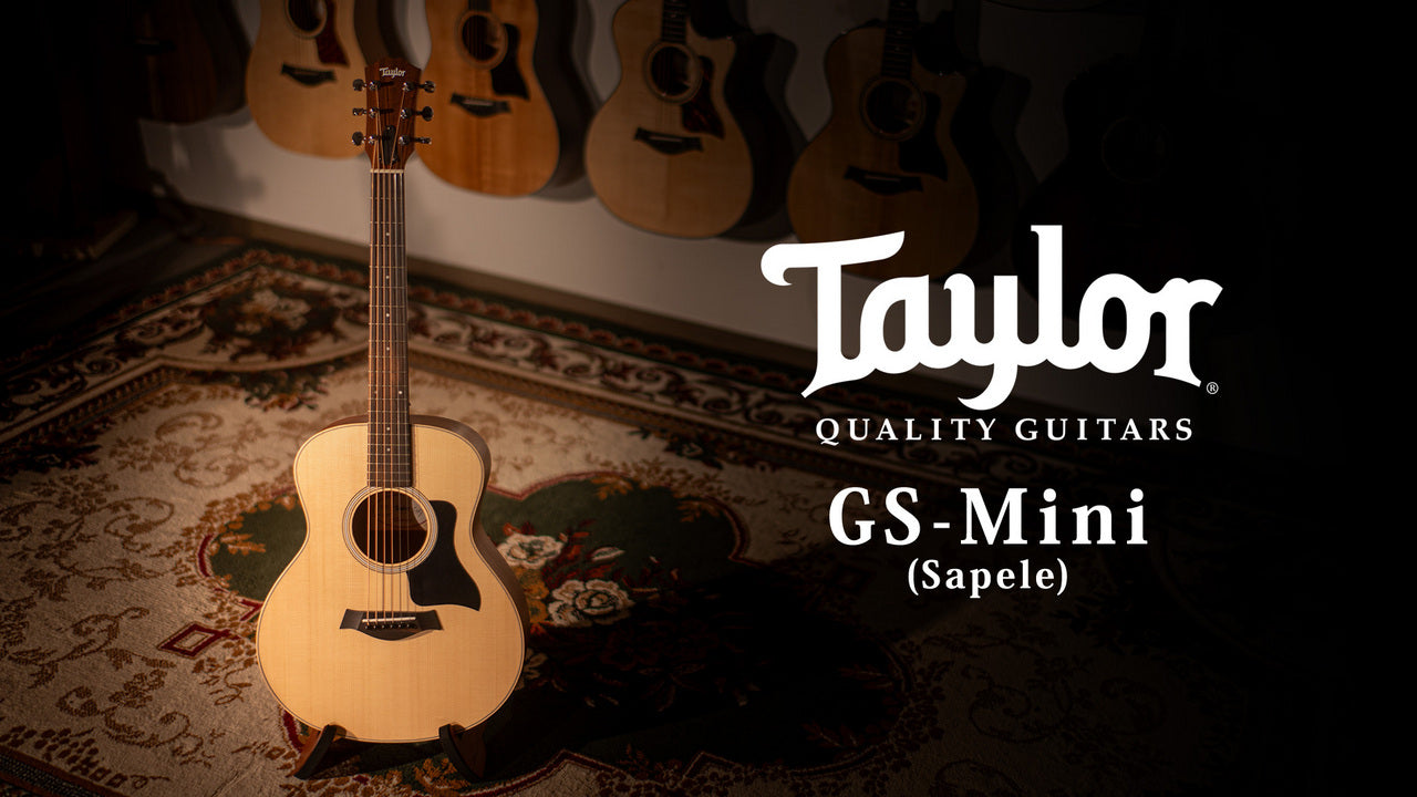 Taylor GS-Mini Sapele [Taylor certified repairman store]
