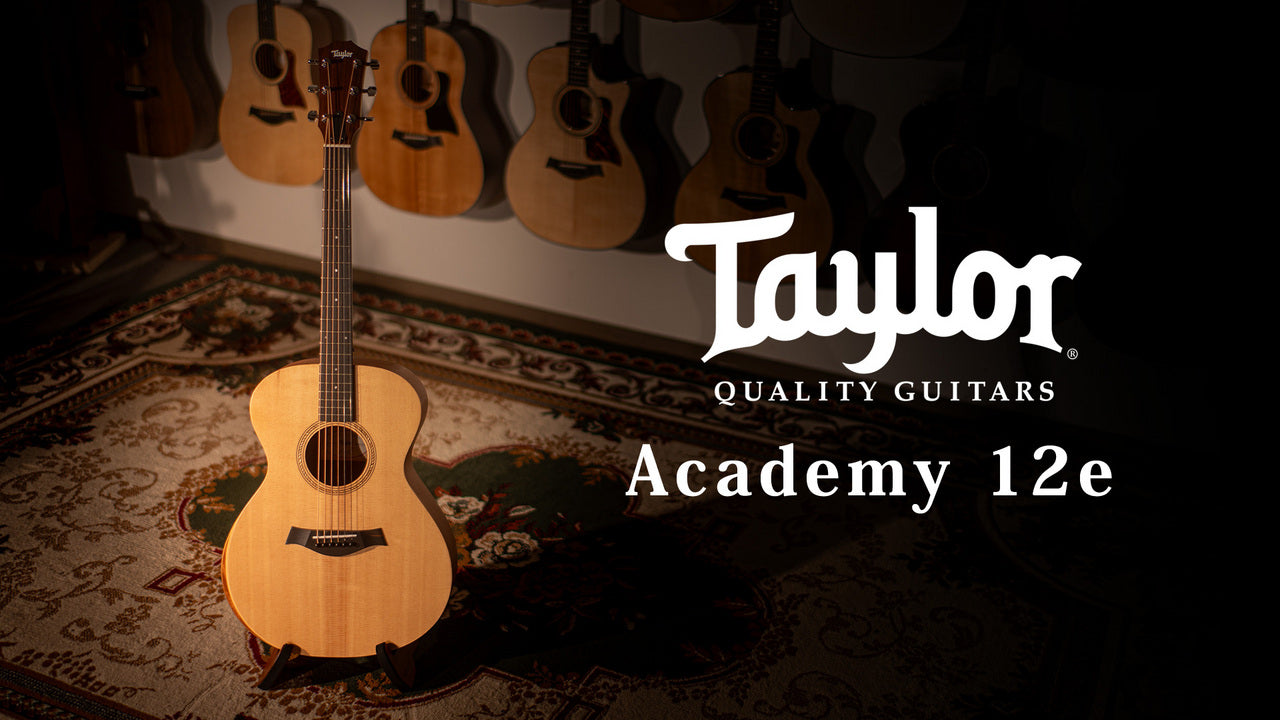Taylor Academy 12e [Taylor certified repairman store]