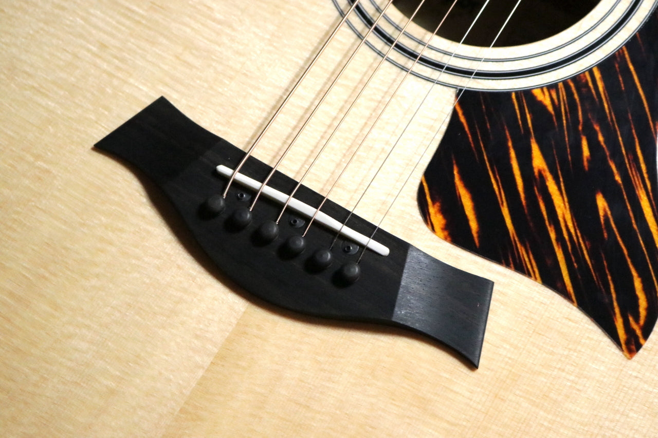 Taylor [Trial video available] 314ce J-Spec -Japan limited specification- [Taylor authorized repair man staffed store]