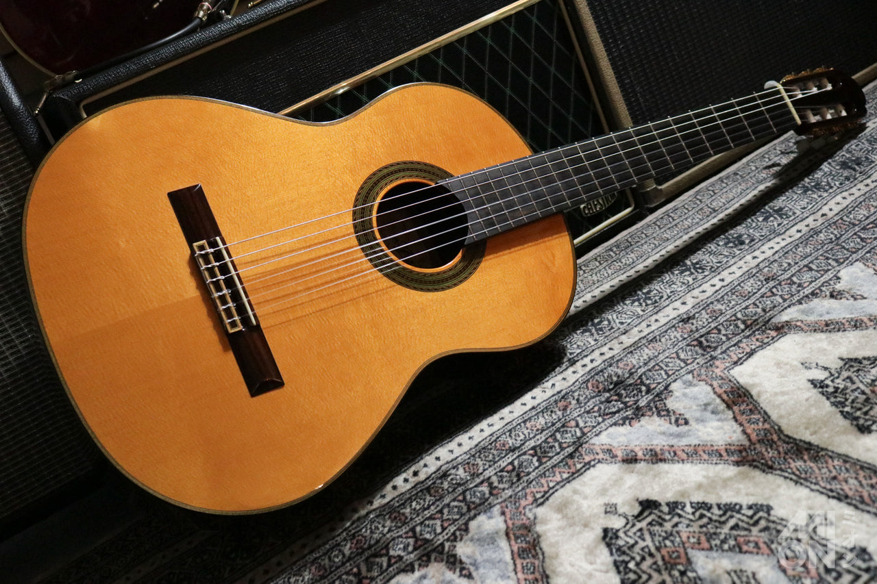 ARIA A-200S