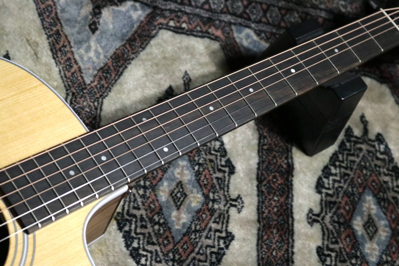 Taylor [Trial video available] 214ce Walnut [Taylor authorized repair man store]