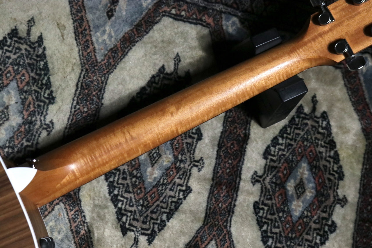 Taylor [Trial video available] 214ce Walnut [Taylor authorized repair man store]