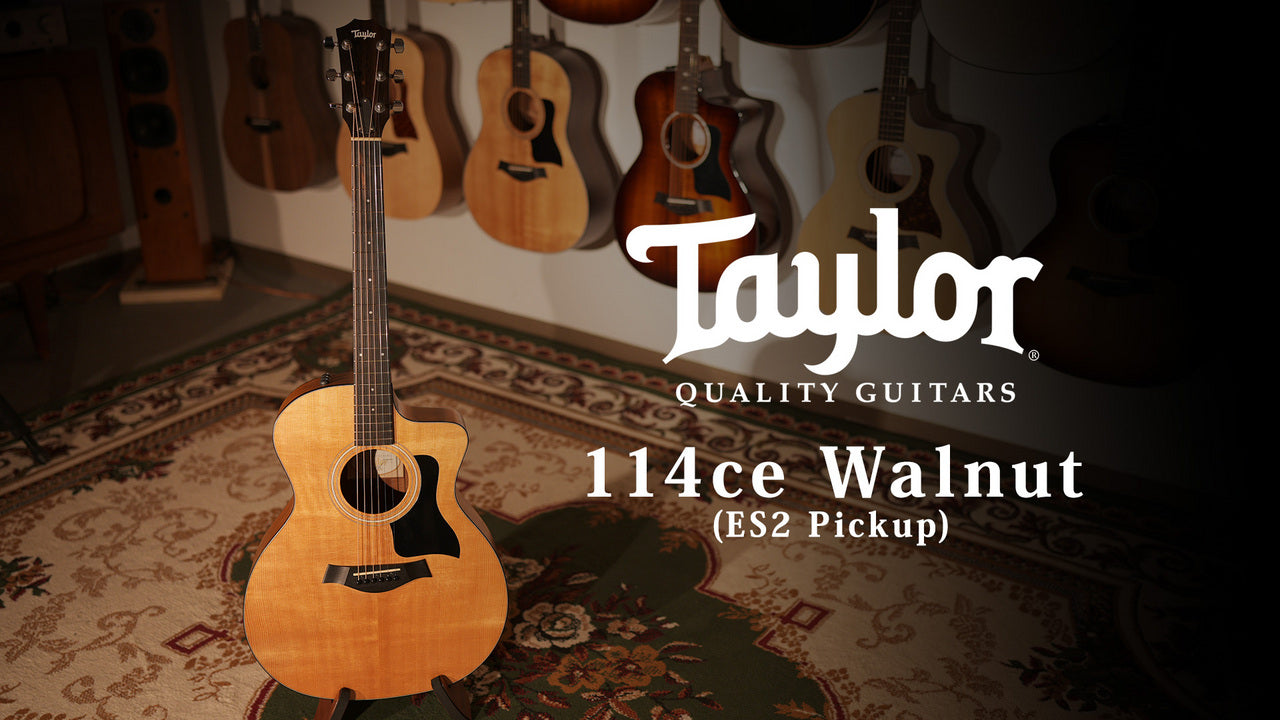 Taylor 114ce Walnut 2017 [Taylor certified repairman worker store]