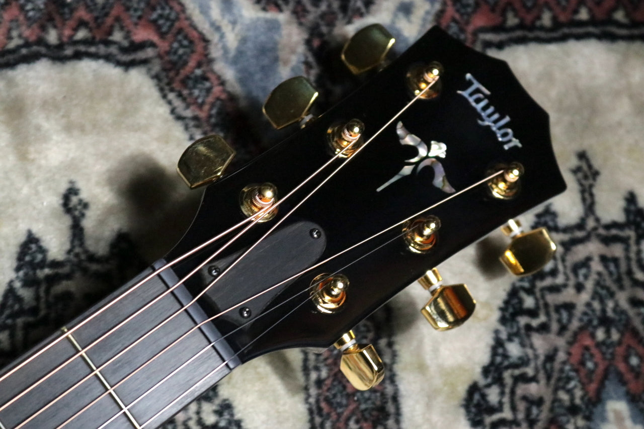 Taylor [Trial video available] 50th Anniversary 614ce LTD Trans White with Edgeburst [Taylor authorized repair man store]