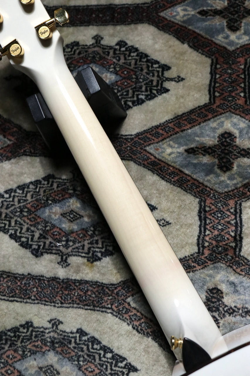 Taylor [Trial video available] 50th Anniversary 614ce LTD Trans White with Edgeburst [Taylor authorized repair man store]
