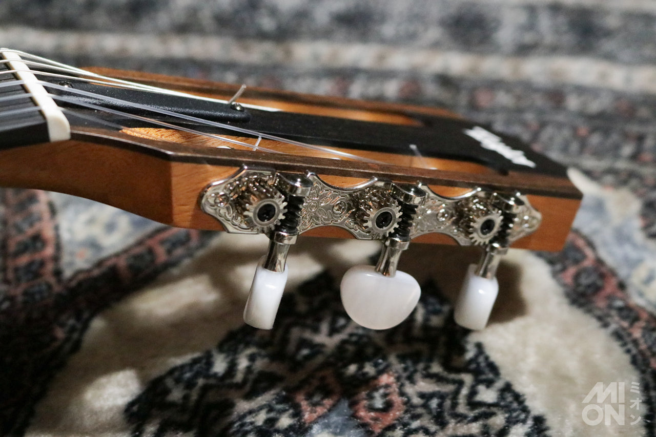 Taylor [Trial video available] 112ce-N [Latest Elegat model] [Taylor-authorized repair man staffed store]