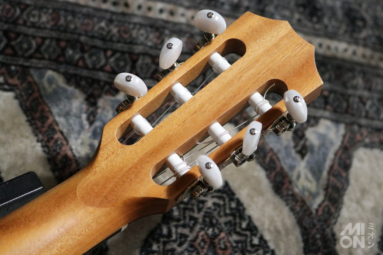 Taylor [Trial video available] 112ce-N [Latest Elegat model] [Taylor-authorized repair man staffed store]