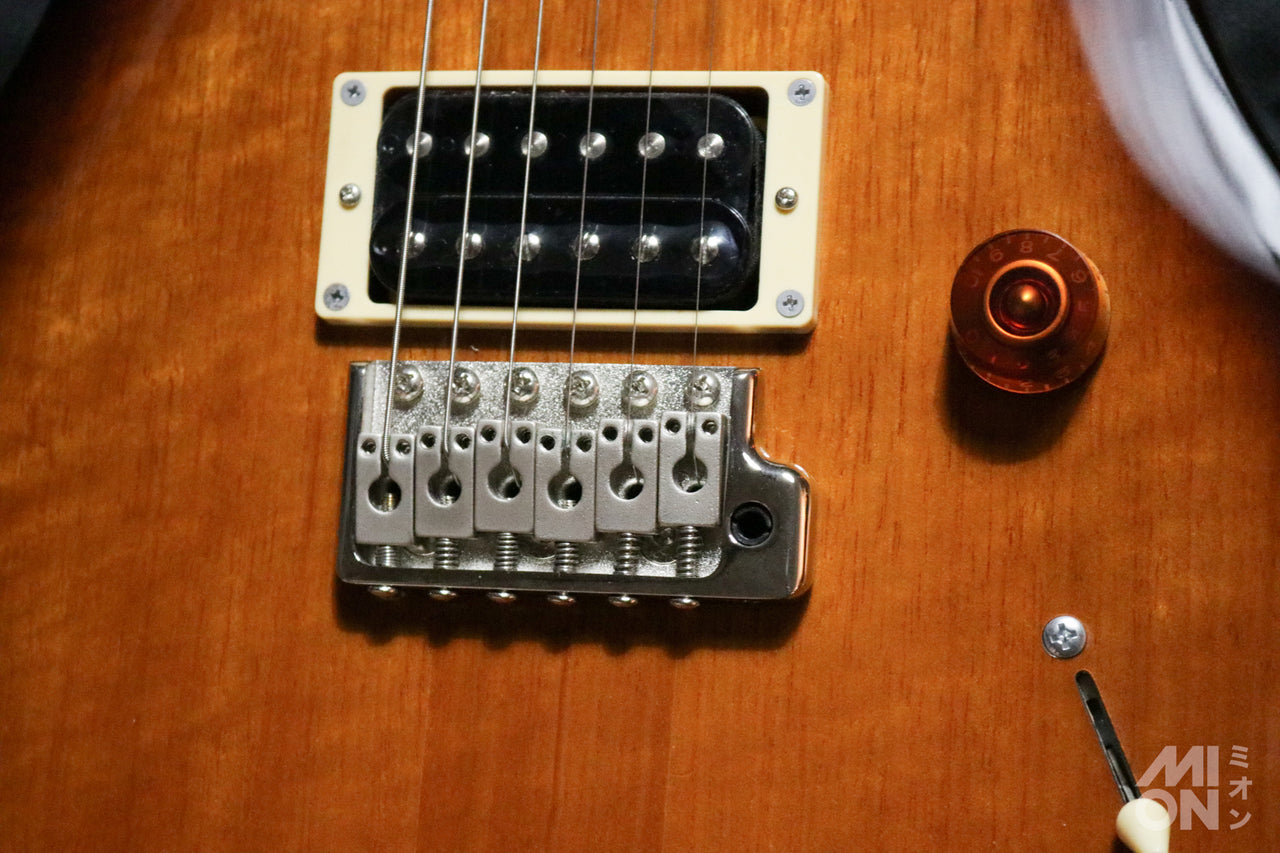 Paul Reed Smith(PRS) SE Standard 24 2015