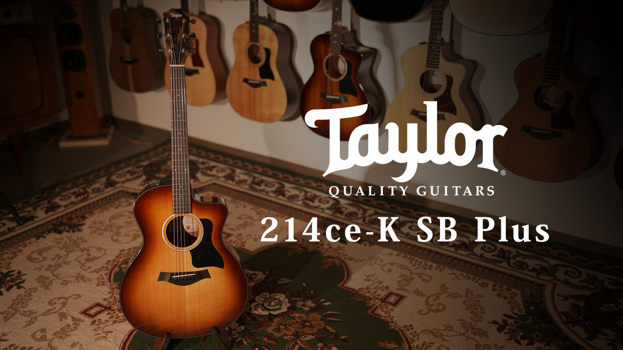 Taylor [Tested video included] 214ce-K SB Plus [Taylor certified repairman worker]