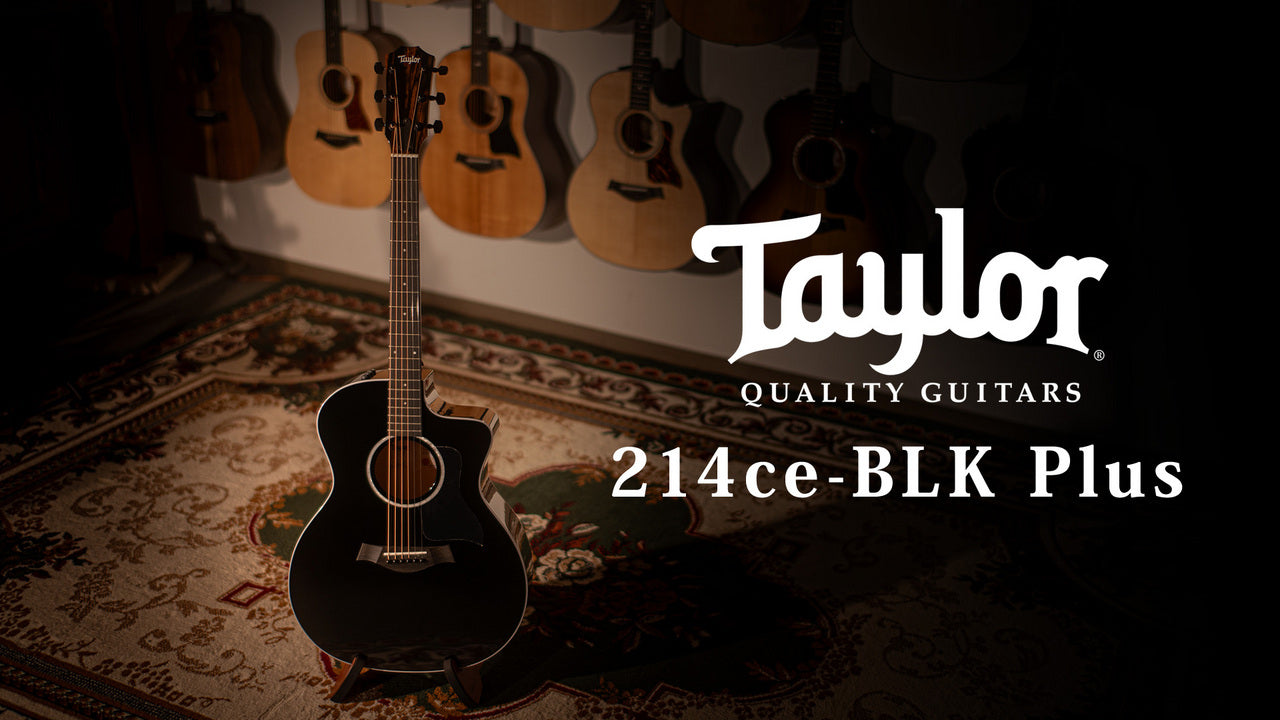 Taylor [Tested video included] 214ce-BLK Plus [Taylor certified repairman store]
