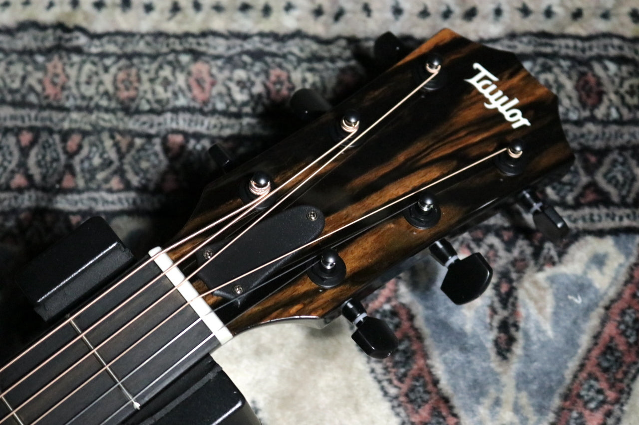 Taylor [Trial video available] 214ce-BLK Plus [Taylor certified repair man store]