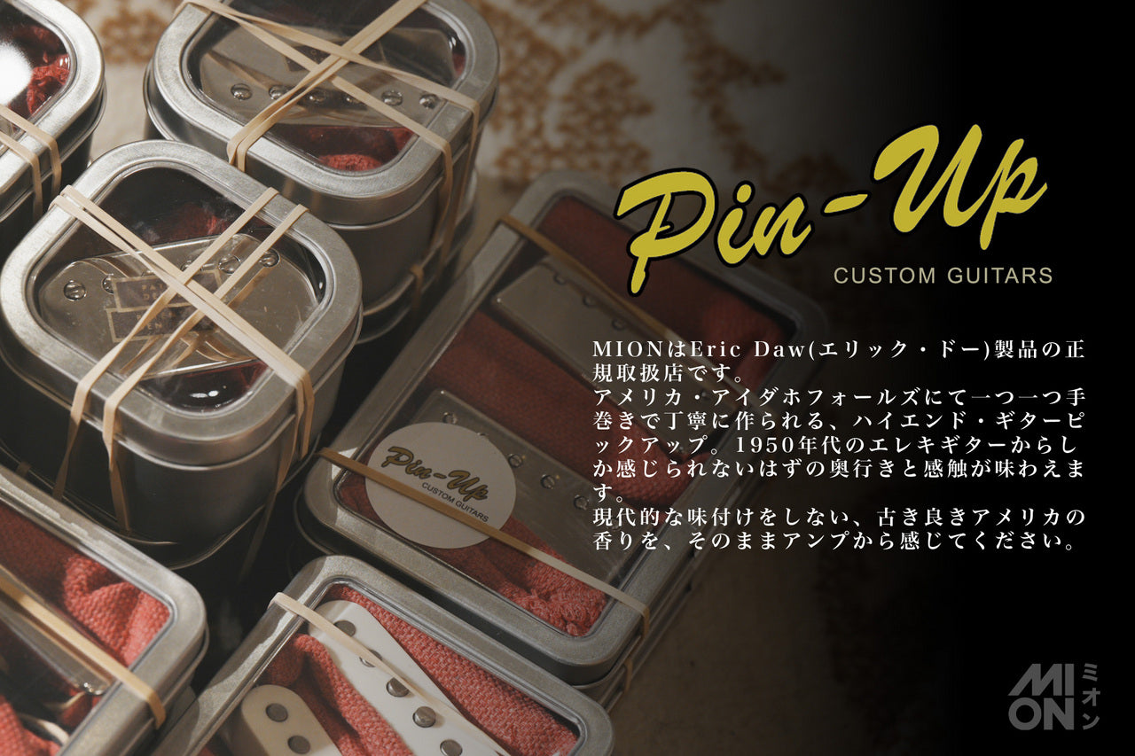 Eric Daw Custom Guitars 62 "S" Style Pickups (RWRP for hum cancel)