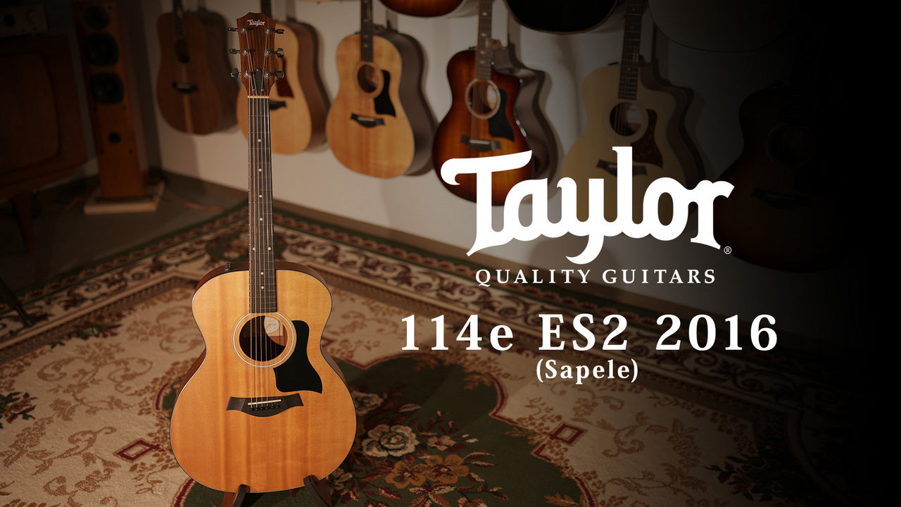 Taylor [Trial play video included] 114e ES2 2016 [Taylor certified repairman worker]