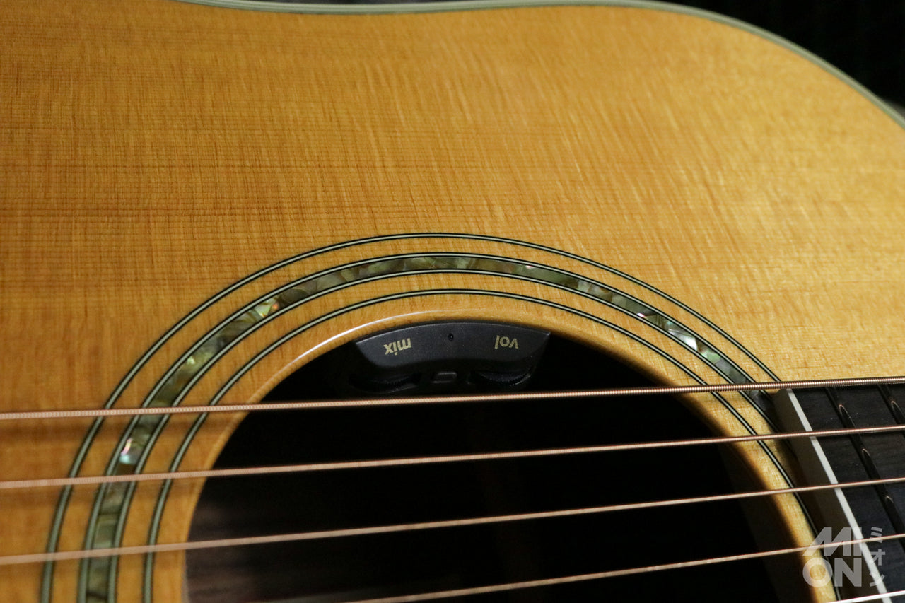 Taylor 810 2000 w/ L.R.Baggs HiFi Duet [Taylor certified repairman worker]