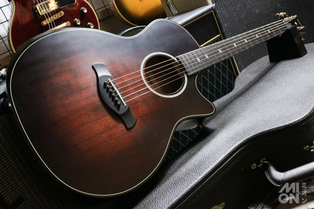 Taylor Builder's Edition 324ce 2020 [Taylor certified repairman worker]