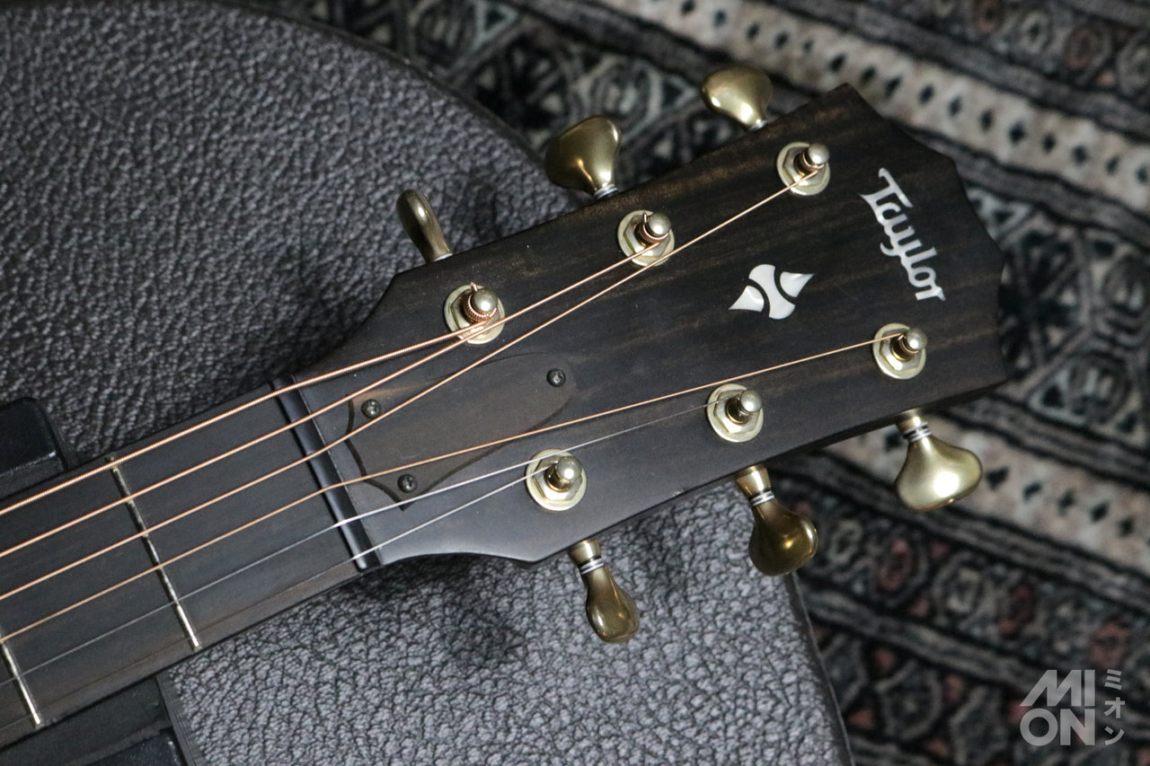 Taylor Builder's Edition 324ce 2020 [Taylor certified repairman worker]