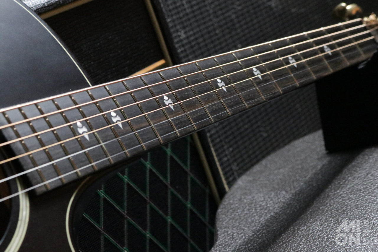 Taylor Builder's Edition 324ce 2020 [Taylor certified repairman worker]