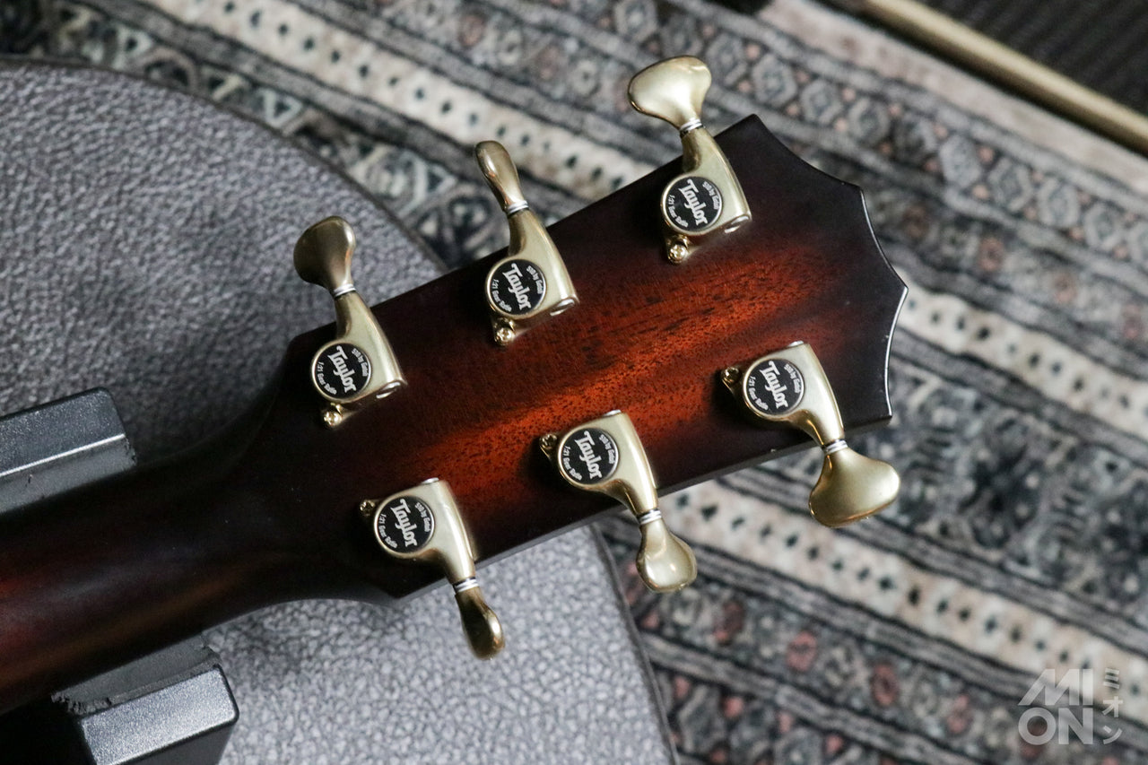 Taylor Builder's Edition 324ce 2020 [Taylor certified repairman worker]