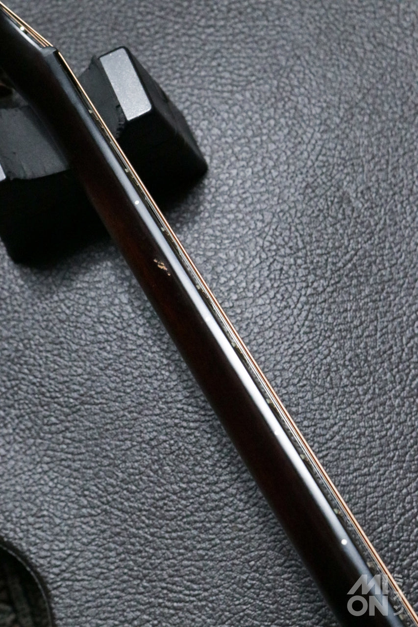 Taylor Builder's Edition 324ce 2020 [Taylor certified repairman worker]