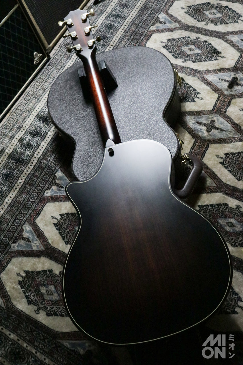 Taylor Builder's Edition 324ce 2020 [Taylor certified repairman worker]