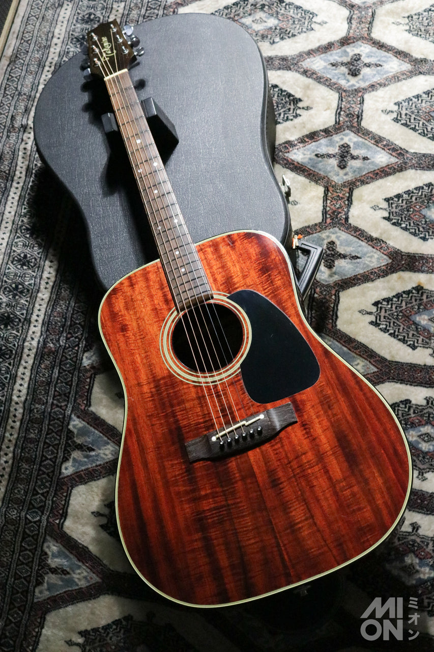 Takamine PT-207